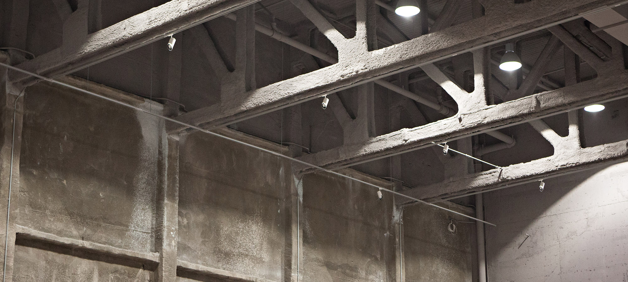 Mission | Marciano Art Foundation